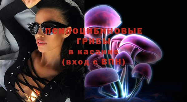 PSILOCYBIN Заводоуковск