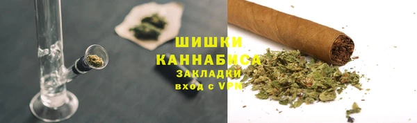 PSILOCYBIN Заводоуковск