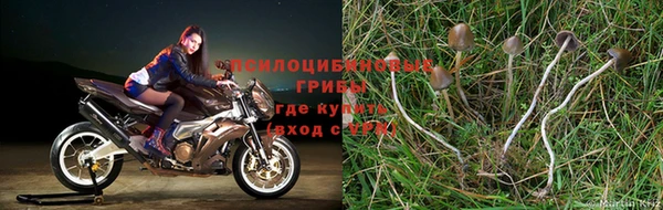 apvp Заволжье