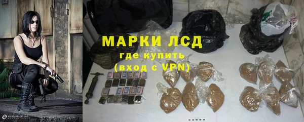 PSILOCYBIN Заводоуковск