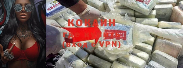 PSILOCYBIN Заводоуковск